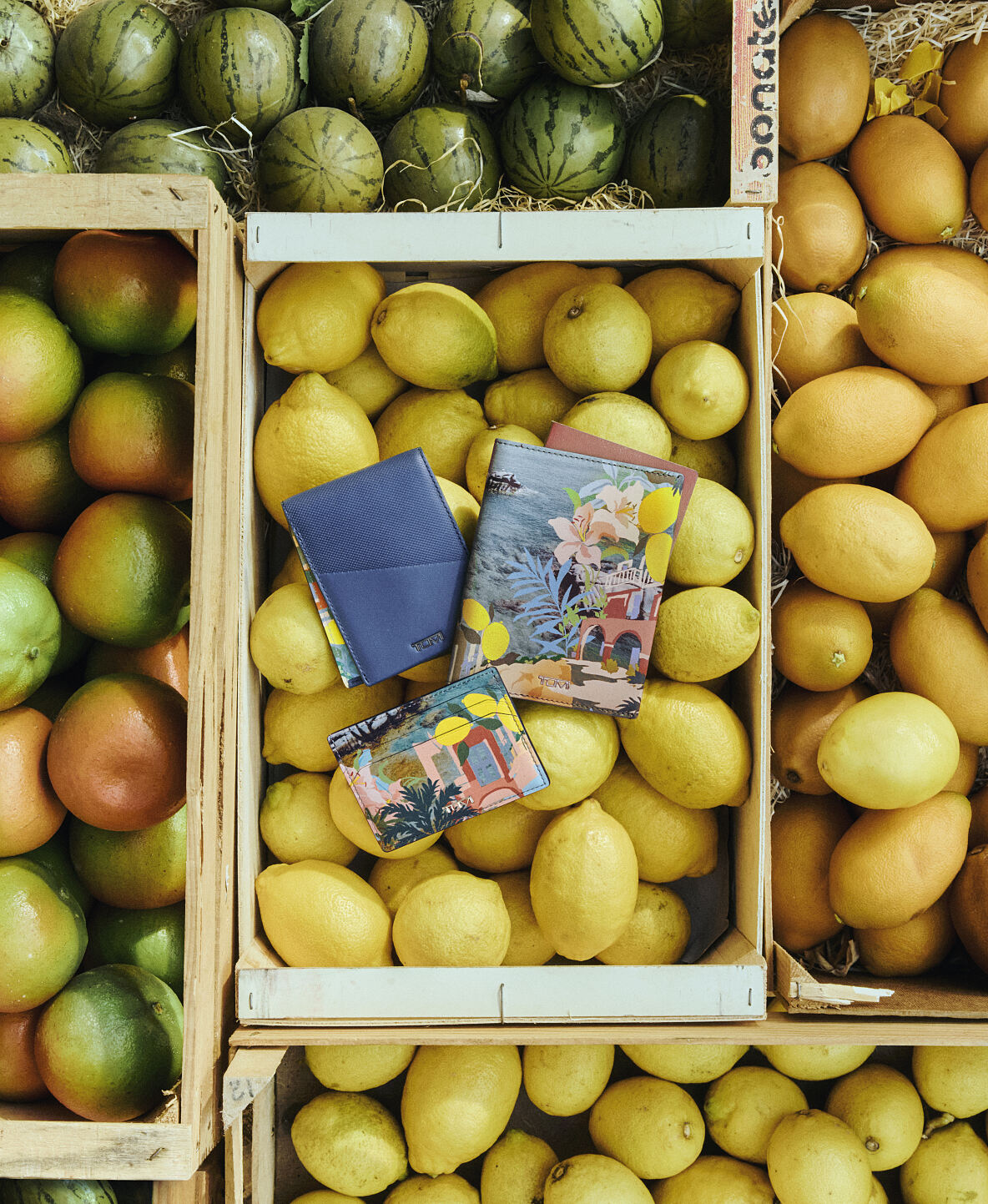 TUMI_Nassau_Passport sleeve_140 Euro_Slim card case_100 Euro